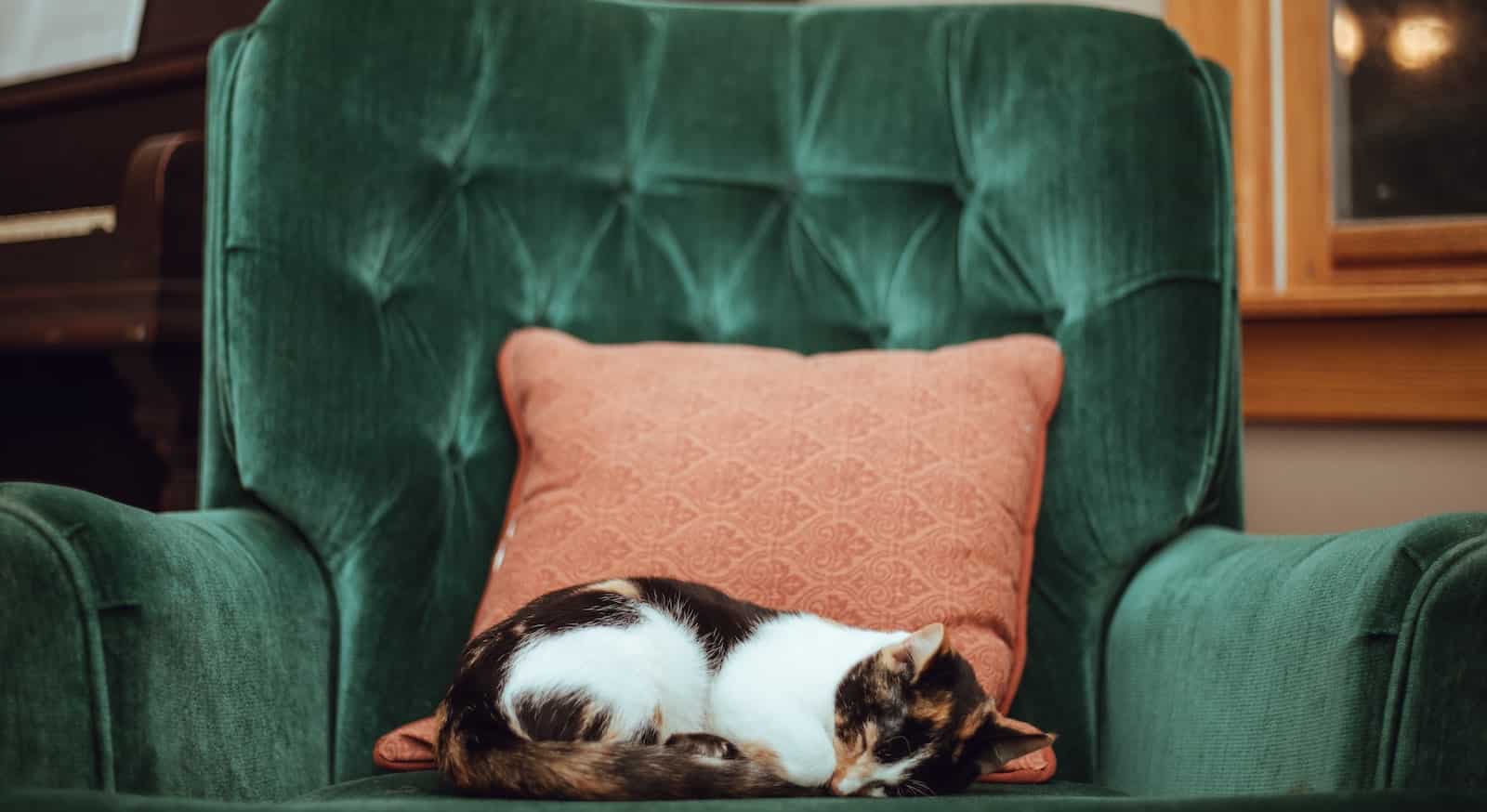 The Pros and Cons of Taking Naps Sleep Reset